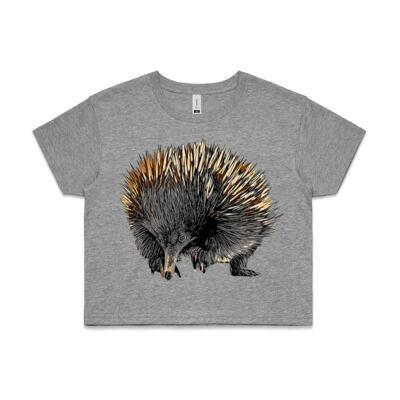 Echidna 1 - AS Colour CROP TEE - 4062 Thumbnail