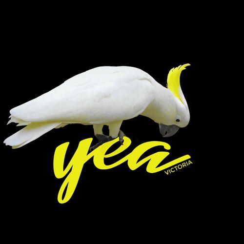 Cockatoo - Yea, Victoria Thumbnail