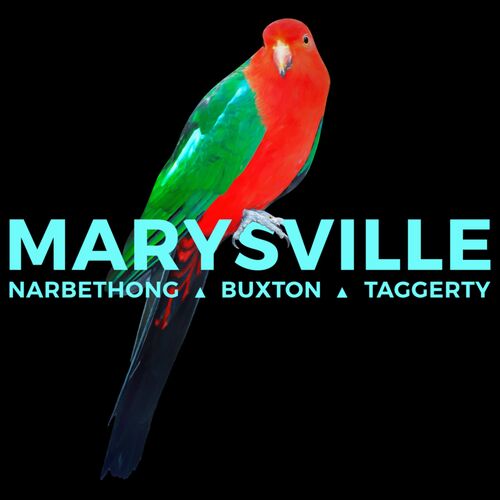 King Parrot - Marysville, Victoria Thumbnail