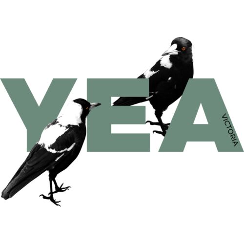 T shirt   Magpies Jan 21 copy Thumbnail