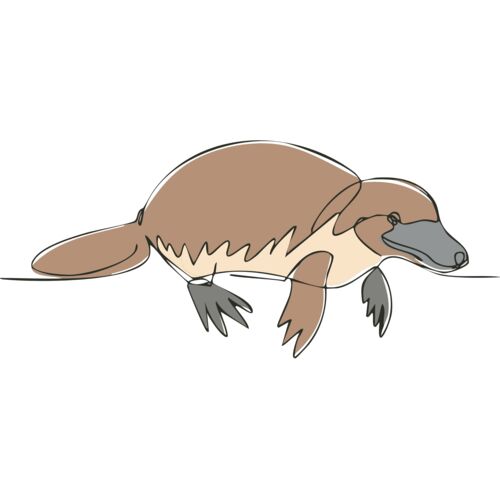 Platypus Line Art Thumbnail